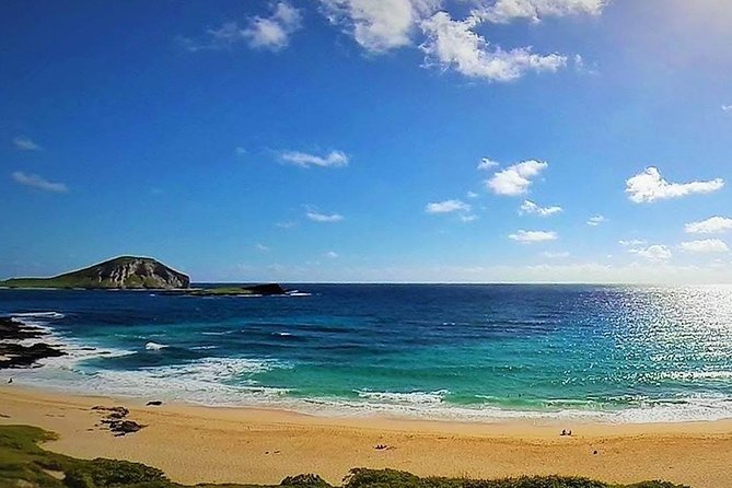 Oahu Circle Island Tour with Turtle Snorkeling— Small-Groups - Macadamia Tasting Under the Banyan Trees