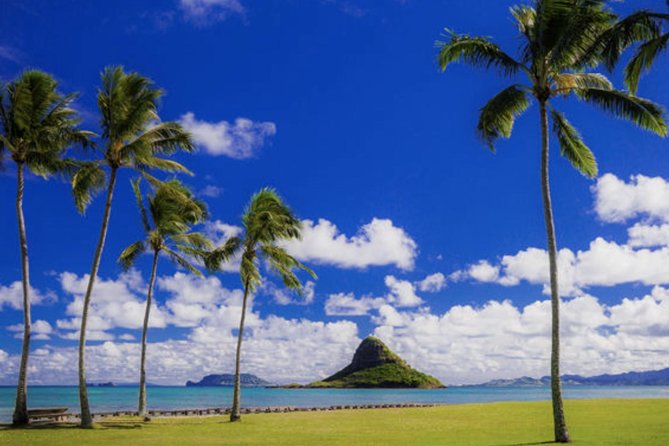 Oahu Circle Island Tour with Waimea Waterfall - Coffee, macadamia nuts, and Chinaman’s Hat