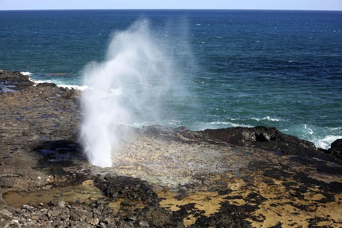 Oahu Circle Island Tour with Waimea Waterfall - North Shore food and beach stops