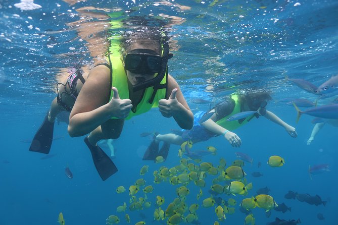 Oahu Dolphin and Snorkel Tour with Waikiki Pickup & Lunch - Getting from Waikiki to Waianae Harbor
