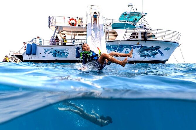 Oahu Dolphin and Snorkel Tour with Waikiki Pickup & Lunch - Snorkeling near turtles and reef fish
