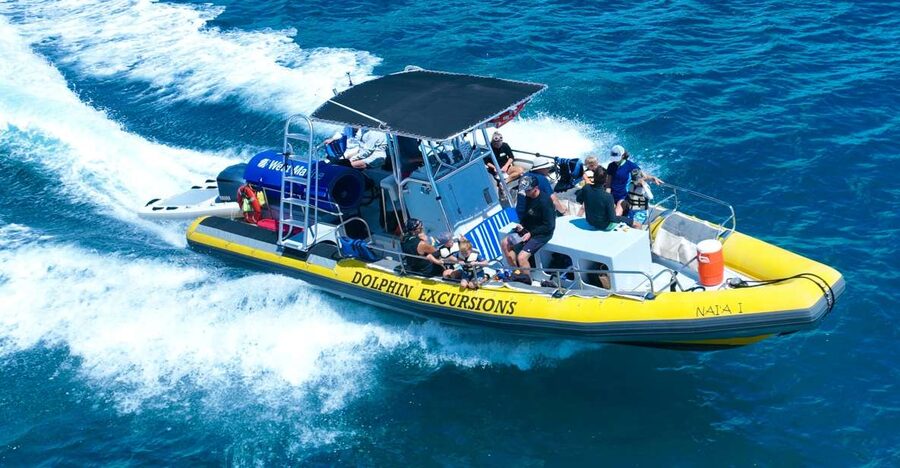Oahu: Dolphin Swim and Turtle Snorkel Excursion in Waianae - From Waikiki to Oahu’s Waianae coast