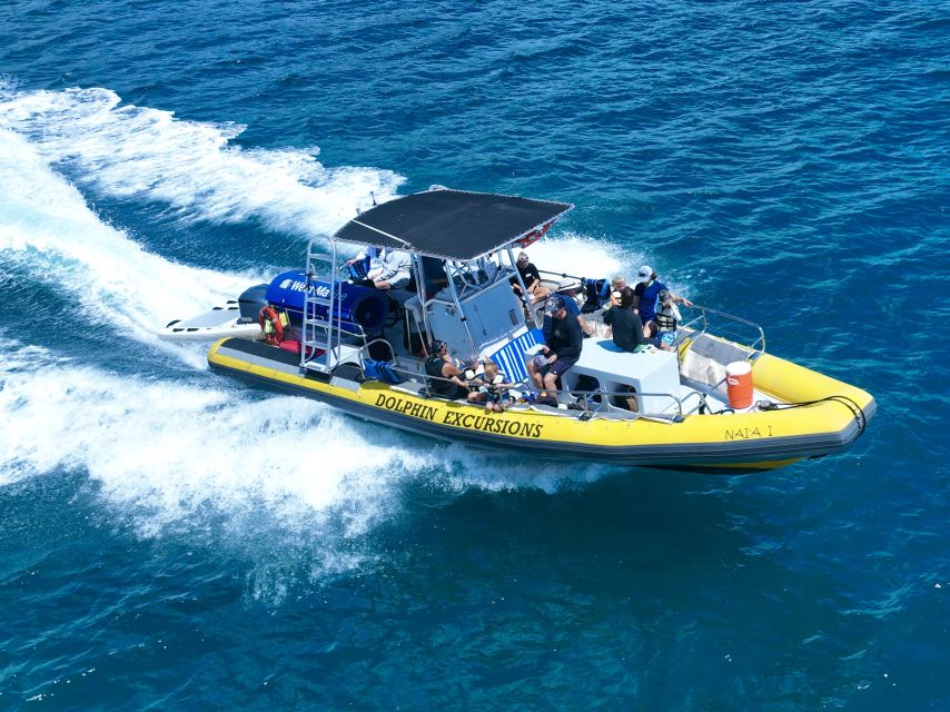 Oahu: Dolphin Swim and Turtle Snorkel Excursion in Waianae - Swimming with dolphins without treating them like a show