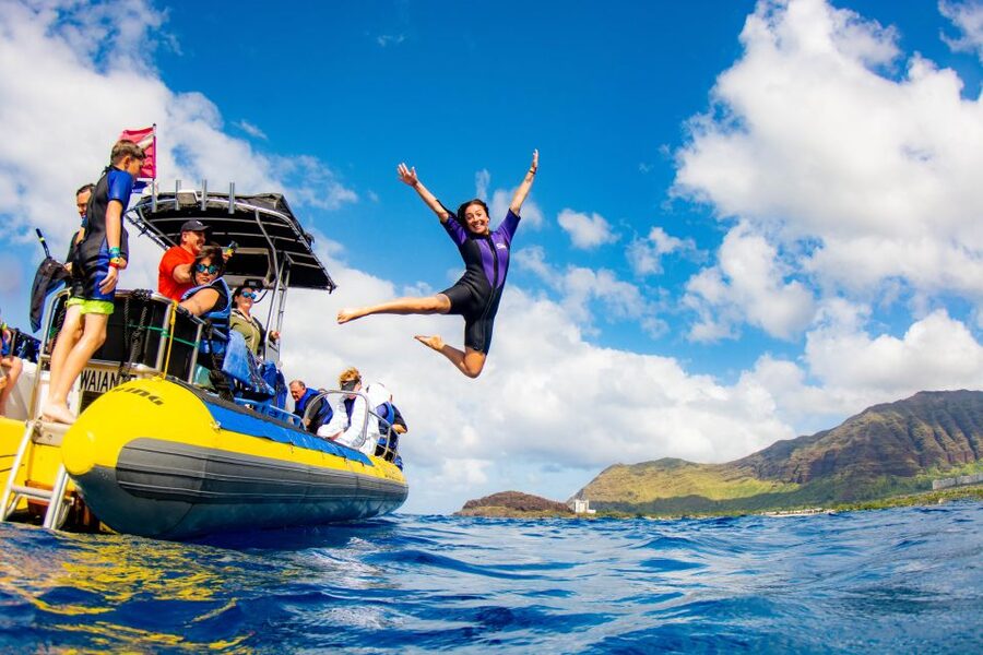 Oahu: Dolphin Swim and Turtle Snorkel Excursion in Waianae - Winter whales and other unexpected sightings