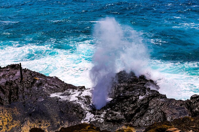 Oahu Grand Circle Island and Haleiwa Tour: 9-Hr Deluxe Experience - Tropical Farms and local flavors