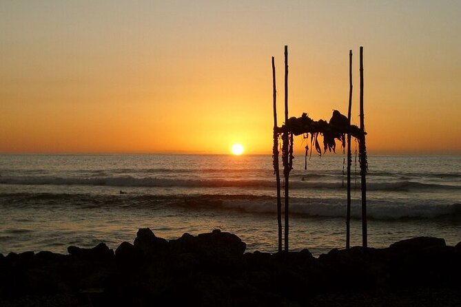 Oahu Grand Circle Island Experience from Waikiki - Malasadas, lava, and the southeastern coast