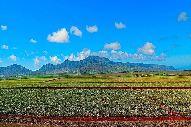 Oahu Grand Circle Island Experience from Waikiki - Haleiwa’s easygoing half hour