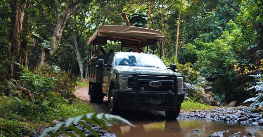Oahu: Kualoa Open Air Jungle Expedition Tour - Key points to know before you go