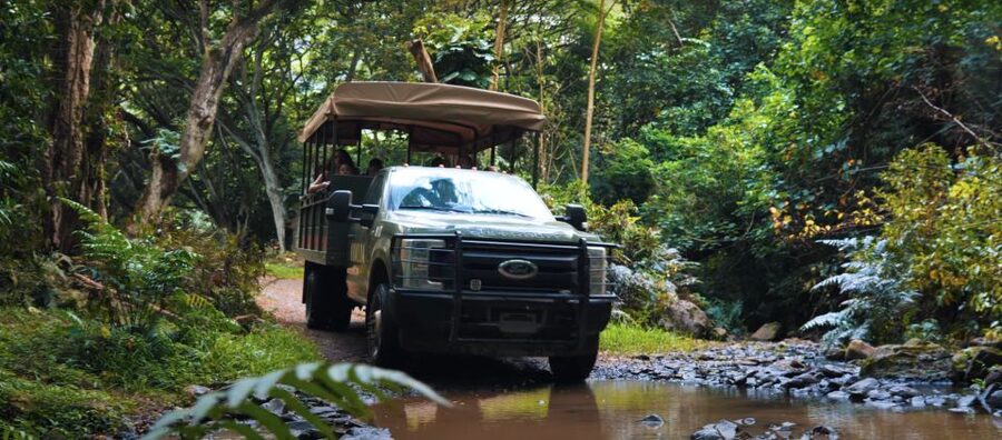 Oahu: Kualoa Open Air Jungle Expedition Tour - What this Kualoa Ranch tour really is