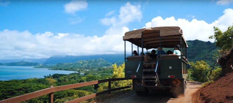 Oahu: Kualoa Open Air Jungle Expedition Tour - Who should book the Jungle Expedition?