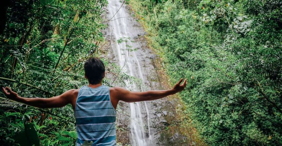 Oahu: Manoa Falls Waterfall Hike with Lunch and Transfers - Key points to know before you go