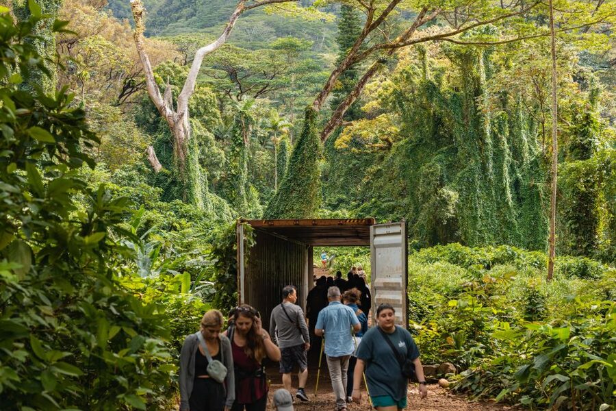Oahu: Manoa Falls Waterfall Hike with Lunch and Transfers - Film scenery, Hawaiian stories, and a better sense of place