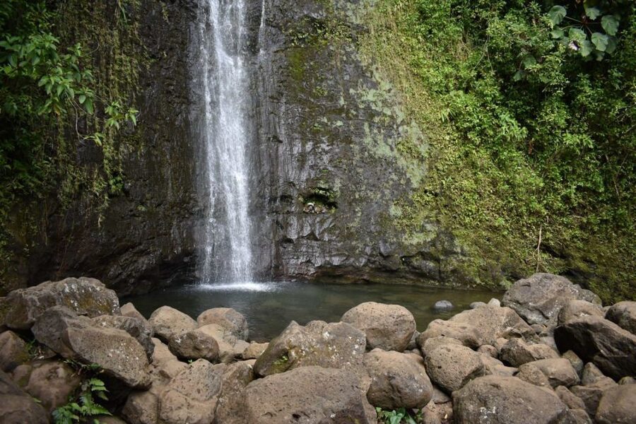 Oahu: Manoa Falls Waterfall Hike with Lunch and Transfers - Tantalus Lookout turns lunch into a second attraction