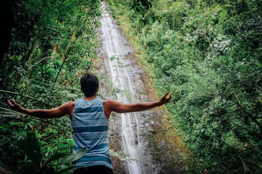 Oahu: Manoa Falls Waterfall Hike with Lunch and Transfers - Is $119 a fair price for five hours?