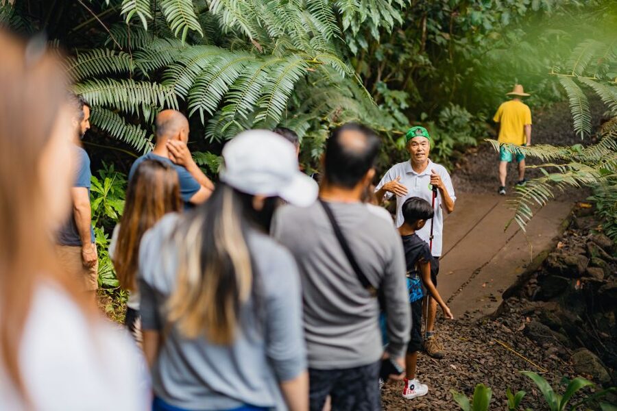 Oahu: Manoa Falls Waterfall Hike with Lunch and Transfers - What to wear and pack for a wet rainforest