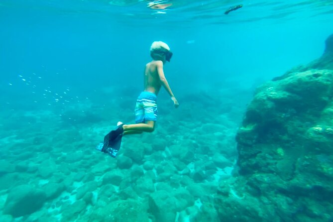 Oahu North Shore Experience: Activities, Waterfall & Free Time - Watching the surf at Sunset Beach and Pipeline