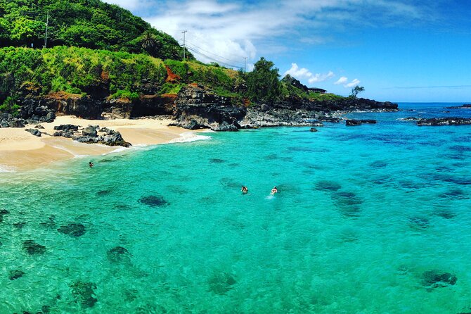 Oahu North Shore Experience: Activities, Waterfall & Free Time - What the price includes at $167.53