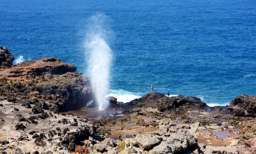 Oahu: Oahu Ultimate Grand Circle Island Tour - Key points to know before booking