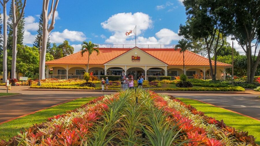 Oahu: Oahu Ultimate Grand Circle Island Tour - Why this Oahu circle tour works for first-time visitors