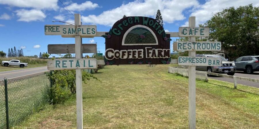 Oahu: Oahu Ultimate Grand Circle Island Tour - The vehicle, pace, and practical comfort