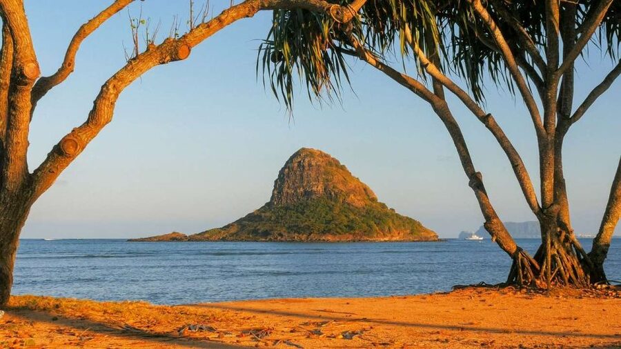 Oahu: Oahu Ultimate Grand Circle Island Tour - Who will get the most from this tour