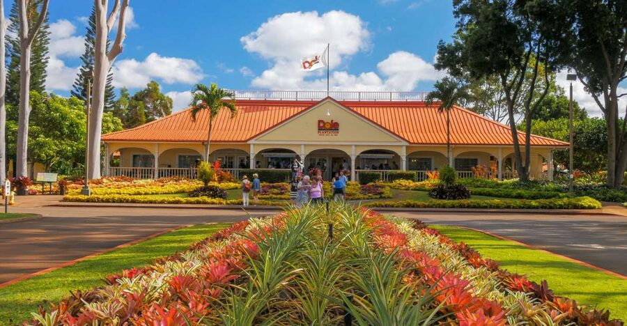 Oahu: Oahu Ultimate Grand Circle Island Tour - Diamond Head and the southeastern coast