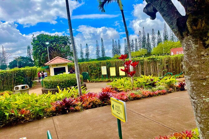 Oahu: Roundtrip Shuttle From Waikiki to Dole Plantation & Haleiwa - The quick facts that shape your day
