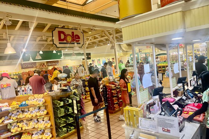 Oahu: Roundtrip Shuttle From Waikiki to Dole Plantation & Haleiwa - Dole Plantation from 9:30 to 11:30 a.m.