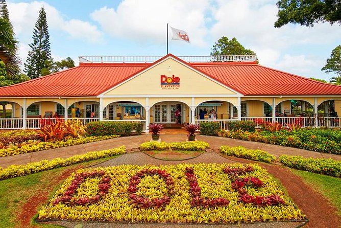 Oahu's Ultimate Tour: Dole, Turtle Snorkel, Pali Lookout & More - Dole Plantation and the final rush