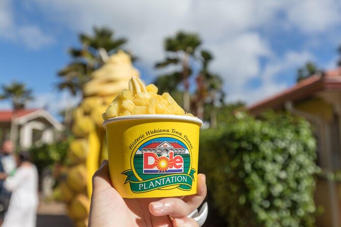 Oahu's Ultimate Tour: Dole, Turtle Snorkel, Pali Lookout & More - Guides, buses, and the human side of the day