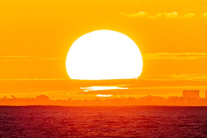 Oahu's Waikiki Coast: Moana’s Sunset Cocktail Sail - Wildlife sightings from November through May