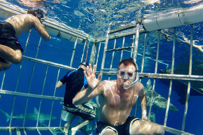 Oahu Shark Dive - Leaving Haleiwa Harbor for the open ocean