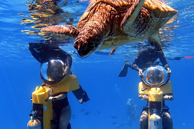 Oahu: Submarine Scooter Adventure - Key points to know before booking
