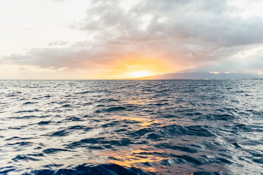 Oahu: Waikiki Sunset Catamaran Cocktail Cruise - Cocktails, Snacks, and the Party-Boat Mood