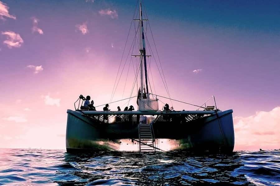 Oahu: Waikiki Sunset Catamaran Sail and Swim - Finding the Pink Sails Waikiki dock