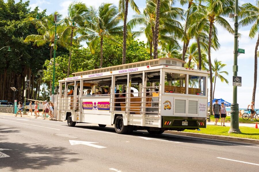Oahu: Waikiki Trolley Hop-on Hop-off All-Line Pass - Pink Line: the practical Waikiki and Ala Moana shuttle