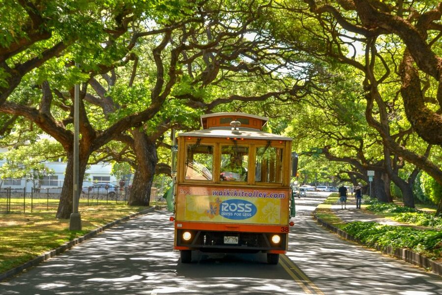 Oahu: Waikiki Trolley Hop-on Hop-off All-Line Pass - Comfort, accessibility, and what to carry