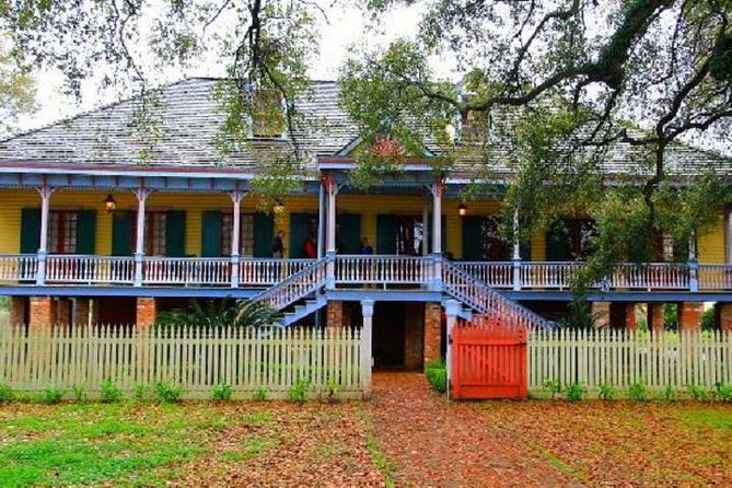 Oak Alley or Laura Plantation Tour from New Orleans - Oak Alley or Laura: choose your lesson