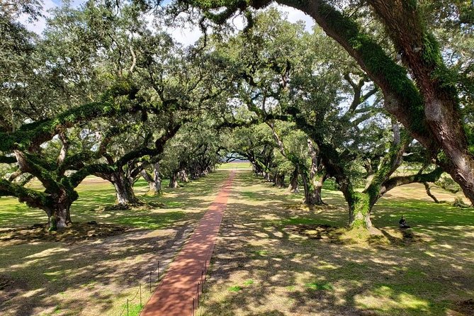 Oak Alley or Laura Plantation Tour from New Orleans - Is $69 a fair price?