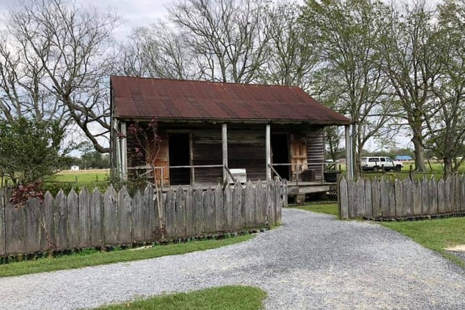 Oak Alley or Laura Plantation Tour from New Orleans - Who will get the most from this outing?
