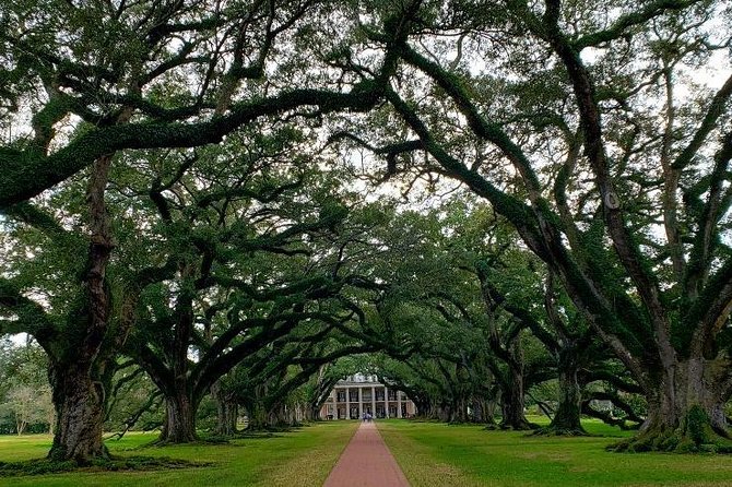 Oak Alley or Laura Plantation Tour from New Orleans - What makes Laura Plantation different