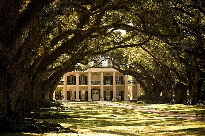 Oak Alley Plantation and Large Airboat Swamp Tour from New Orleans - Why this New Orleans day trip works