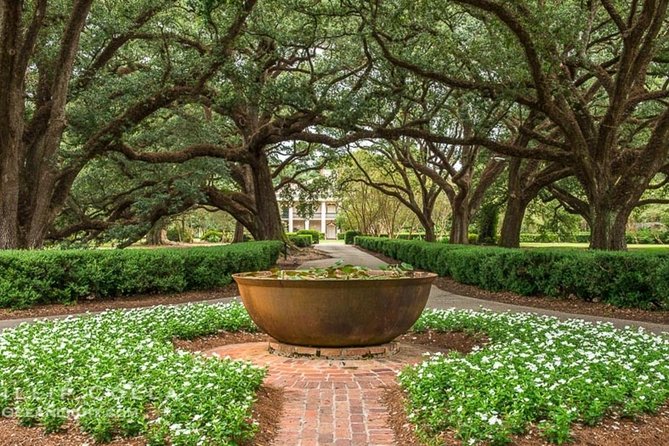 Oak Alley Plantation and Swamp Boat Tour from New Orleans - The transport is convenient, but not always quick