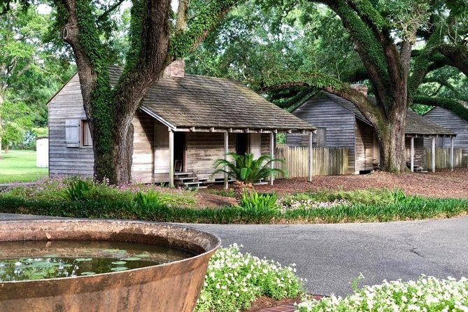 Oak Alley Plantation and Swamp Boat Tour from New Orleans - Does eight hours feel too long?