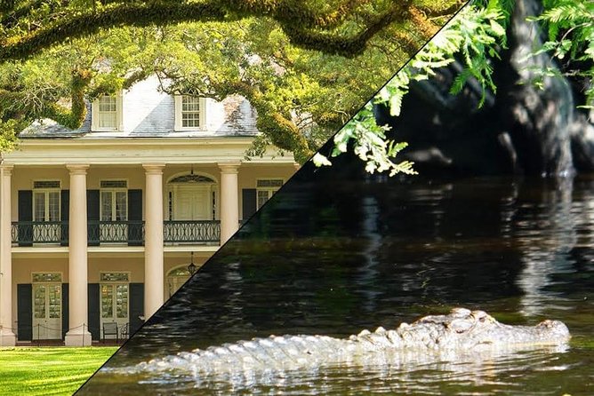 Oak Alley Plantation and Swamp Boat Tour from New Orleans - Barataria Swamp by covered tour boat