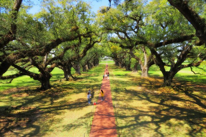 Oak Alley Plantation Tour with Transportation from New Orleans - Making the most of your 2.25 hours