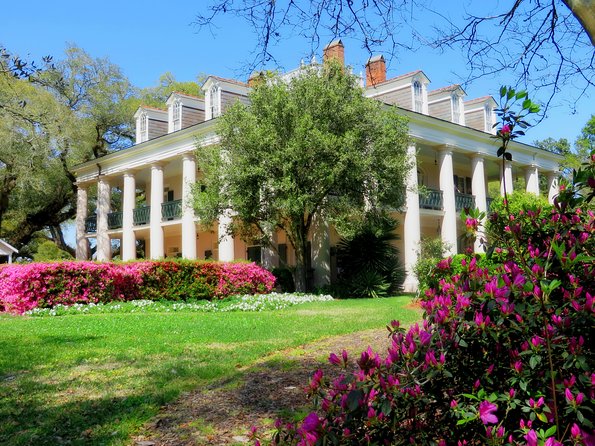 Oak Alley Plantation Tour with Transportation from New Orleans - Adding the 90-minute swamp tour