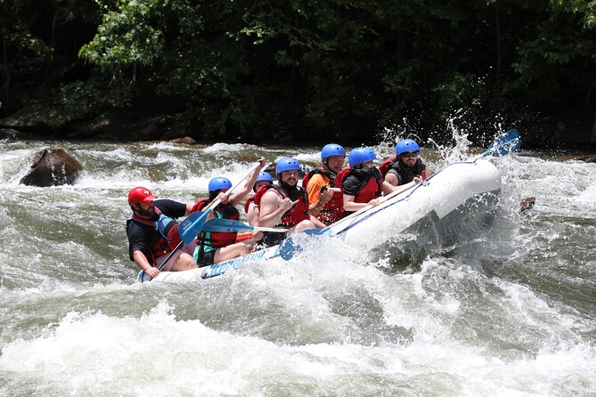 Ocoee River Middle Whitewater Rafting Trip (Most Popular Tour) - What to bring and how to prepare