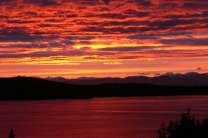 Off the Beaten Path Ketchikan Photo Safari - 3 hr. - What the photography coaching is really like