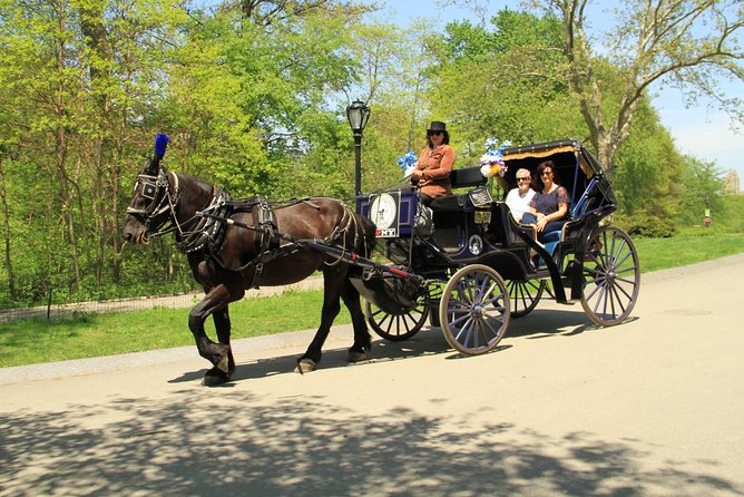 Official NYC Horse Carriage Rides in Central Park since 1979 ™ - Key points to know before booking